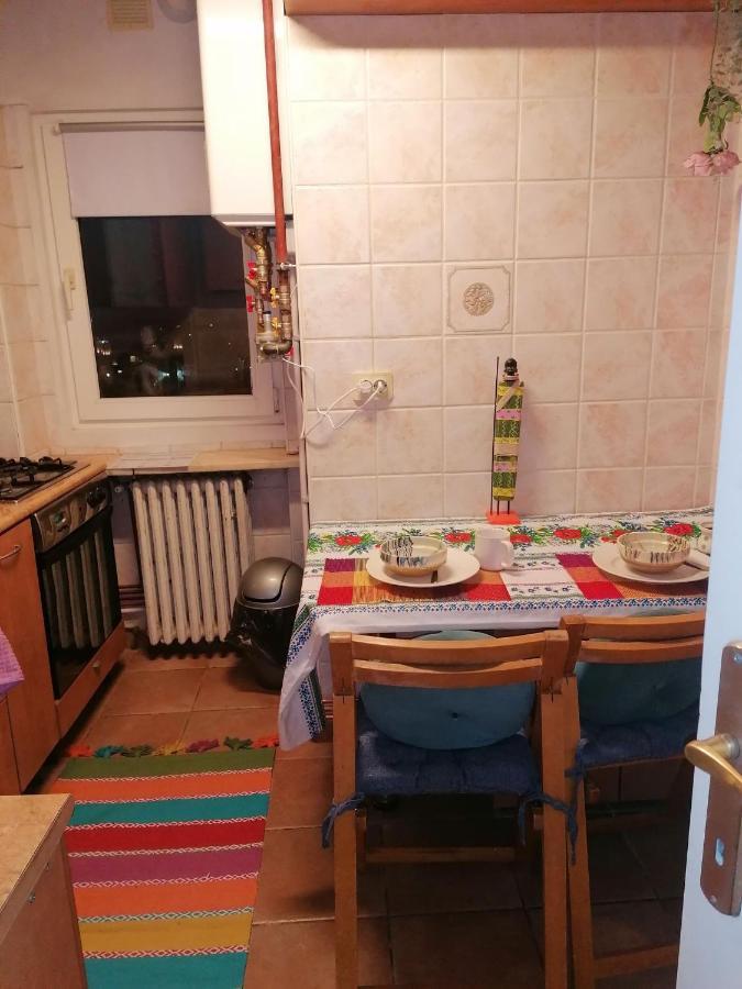 River View, In City Center Apartment Bucureşti Eksteriør bilde