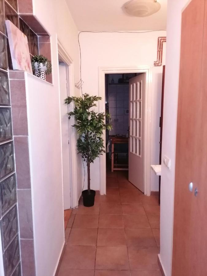 River View, In City Center Apartment Bucureşti Eksteriør bilde
